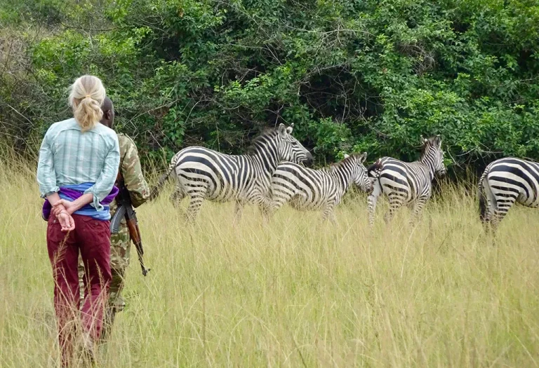 3 Days Lake Mburo National Park Safari