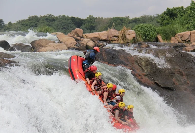 4 Days Gorilla Trekking & White Water Rafting in Uganda